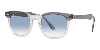 Ray-Ban HAWKEYE RB 2298 unisex Grey Squared Sunglasses