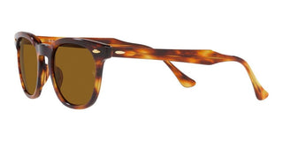 Ray-Ban HAWKEYE RB 2298 unisex Brown Squared Sunglasses