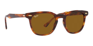 Ray-Ban HAWKEYE RB 2298 unisex Brown Squared Sunglasses