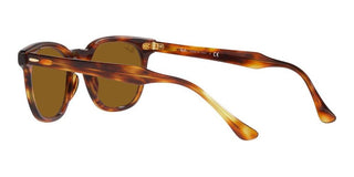 Ray-Ban HAWKEYE RB 2298 unisex Brown Squared Sunglasses