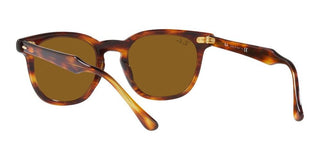 Ray-Ban HAWKEYE RB 2298 unisex Brown Squared Sunglasses