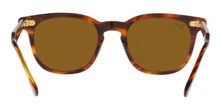 Ray-Ban HAWKEYE RB 2298 unisex Brown Squared Sunglasses