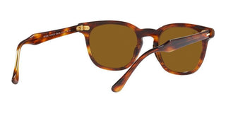 Ray-Ban HAWKEYE RB 2298 unisex Brown Squared Sunglasses