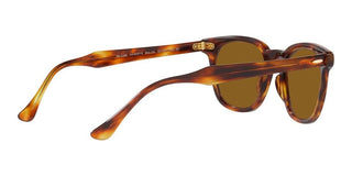 Ray-Ban HAWKEYE RB 2298 unisex Brown Squared Sunglasses