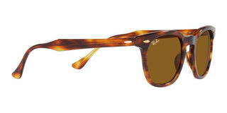 Ray-Ban HAWKEYE RB 2298 unisex Brown Squared Sunglasses