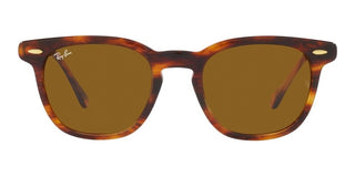 Ray-Ban HAWKEYE RB 2298 unisex Brown Squared Sunglasses