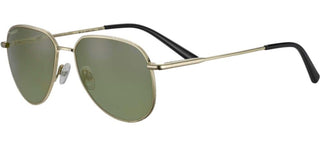 Serengeti HAYWOOD men Gold Pilot Sunglasses