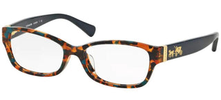 Coach HC 6078 women Havana Geometric Eyeglasses