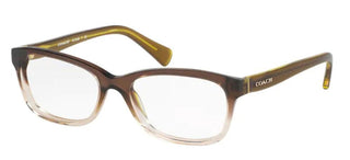 Coach HC 6089 women Brown Squared Eyeglasses