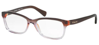 Coach HC 6089 women Violet Squared Eyeglasses