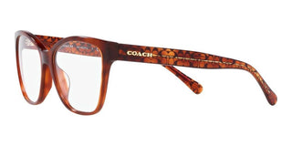 Coach HC 6207U women Brown Squared Eyeglasses