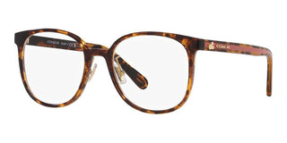 Coach HC 6217 women Brown Squared Eyeglasses