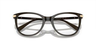 Coach HC 6220U women Green Butterfly Eyeglasses