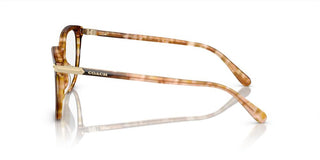 Coach HC 6220U women Brown Butterfly Eyeglasses