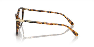 Coach HC 6220U women Brown Butterfly Eyeglasses