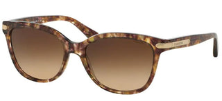 Coach HC 8132 women Brown Squared Sunglasses