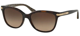 Coach HC 8132 women Havana Squared Sunglasses