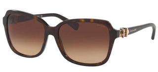 Coach HC 8179 women Havana Butterfly Sunglasses