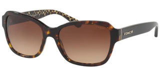 Coach HC 8232 women Havana Butterfly Sunglasses