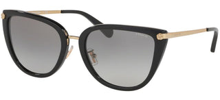 Coach HC 8276 women Black Cat Eye Sunglasses