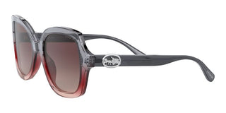 Coach HC 8295 women Grey Butterfly Sunglasses