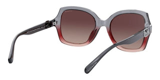 Coach HC 8295 women Grey Butterfly Sunglasses