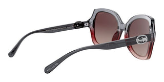 Coach HC 8295 women Grey Butterfly Sunglasses