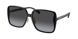 Coach HC 8368D women Black Squared Sunglasses