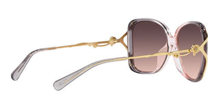 Coach HC 8372BU women Pink Squared Sunglasses