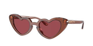 Coach HC 8394U women Brown Geometric Sunglasses