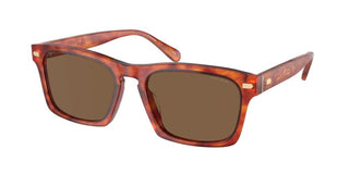 Coach HC 8397U men Havana Squared Sunglasses