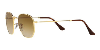 Ray-Ban HEXAGONAL RB 3548 unisex Gold Geometric Sunglasses