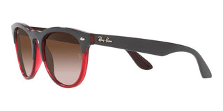 Ray-Ban IRIS RB 4471 unisex Grey Squared Sunglasses