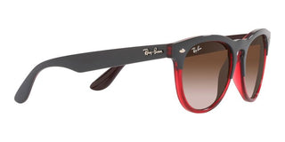 Ray-Ban IRIS RB 4471 unisex Grey Squared Sunglasses