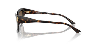 Jimmy Choo JC 5011U women Havana Cat Eye Sunglasses