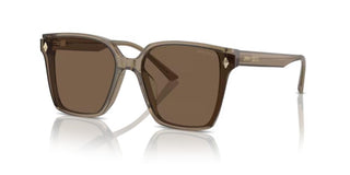 Jimmy Choo JC 5016D women Brown Oversize Sunglasses