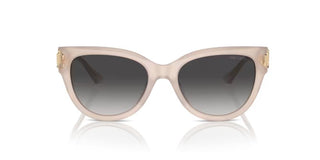 Jimmy Choo JC 5018U women Brown Pantos Sunglasses