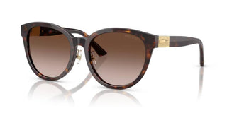 Jimmy Choo JC 5032D women Havana Pantos Sunglasses