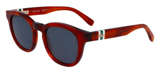 Lacoste L6006S men Havana Squared Sunglasses