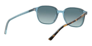 Ray-Ban LEONARD RB 2193 unisex Havana Geometric Sunglasses