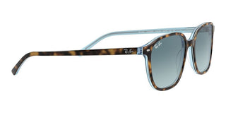 Ray-Ban LEONARD RB 2193 unisex Havana Geometric Sunglasses