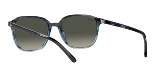 Ray-Ban LEONARD RB 2193 unisex 0 Geometric Sunglasses