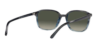 Ray-Ban LEONARD RB 2193 unisex 0 Geometric Sunglasses