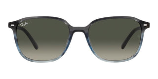 Ray-Ban LEONARD RB 2193 unisex 0 Geometric Sunglasses