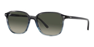 Ray-Ban LEONARD RB 2193 unisex 0 Geometric Sunglasses