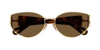 Chloé MARCIE CH0260S women Havana Oval Sunglasses