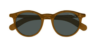 Montblanc Mb0353s Men Brown Pantos Sunglasses