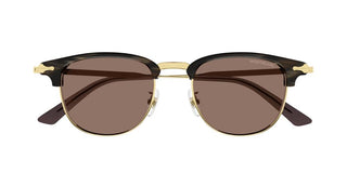 Montblanc MB0364S men Havana Pantos Sunglasses