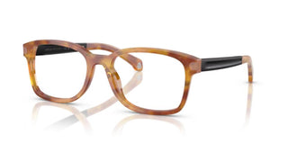 Moncler ME2006 unisex Havana Squared Eyeglasses