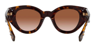 Burberry MEADOW BE 4390 women Havana Squared Sunglasses